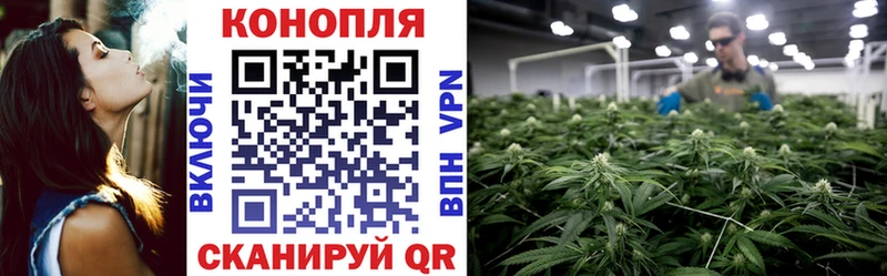 МЕГА вход  Певек  Бошки Шишки MAZAR  купить наркотики цена 